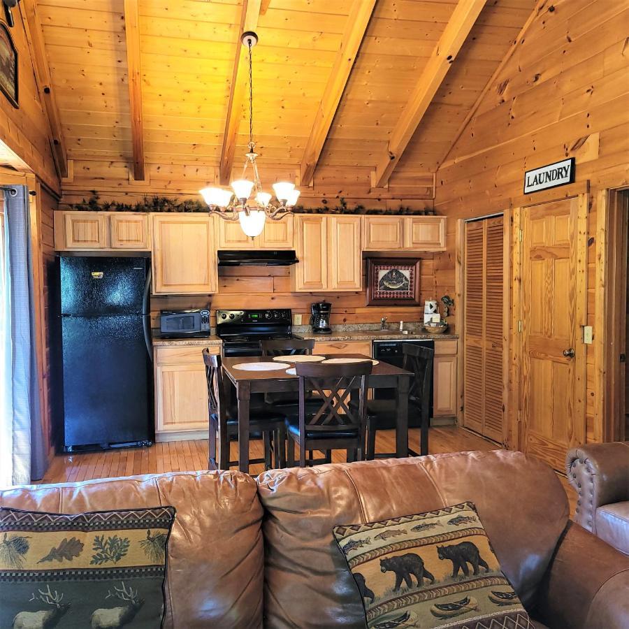 Skinny Dippin'-River Front- Free Tickets-Dog Friendly-Sleeps 6 Піджен-Фордж Екстер'єр фото