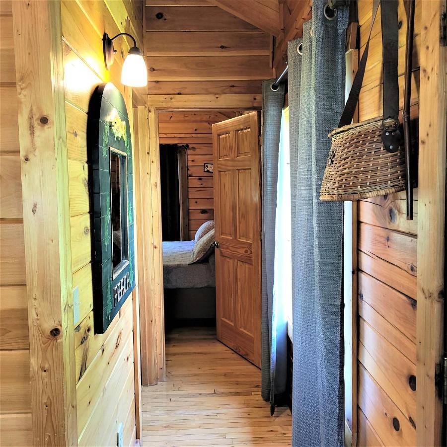 Skinny Dippin'-River Front- Free Tickets-Dog Friendly-Sleeps 6 Піджен-Фордж Екстер'єр фото