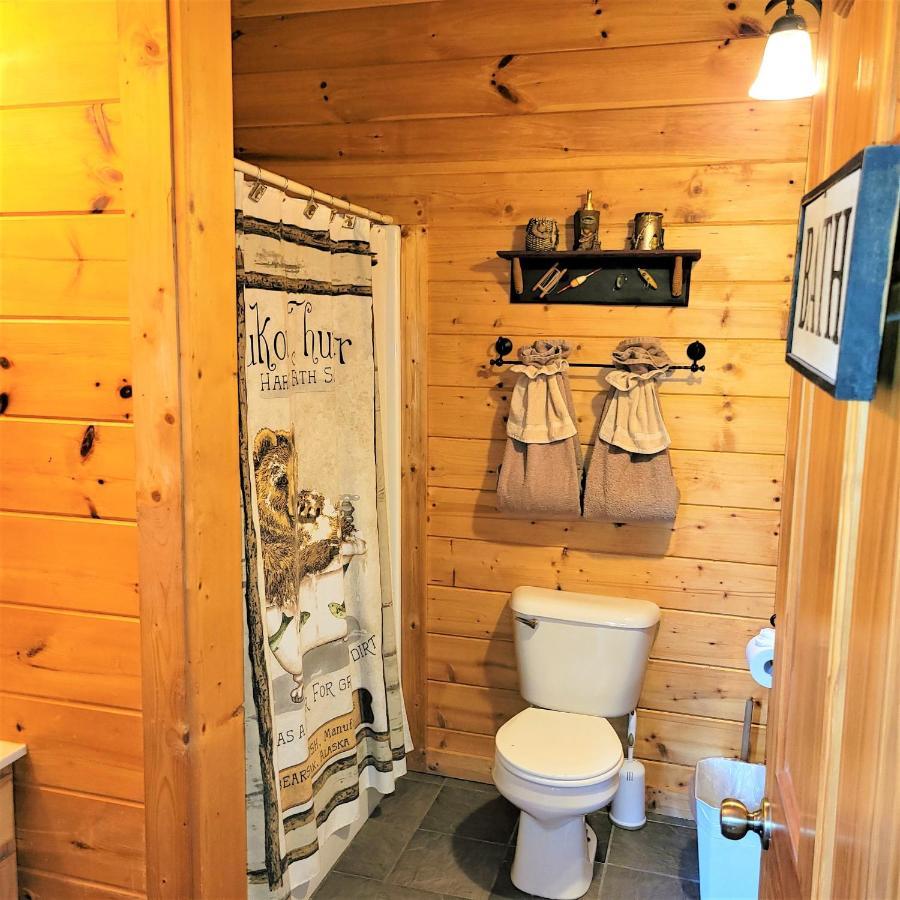 Skinny Dippin'-River Front- Free Tickets-Dog Friendly-Sleeps 6 Піджен-Фордж Екстер'єр фото