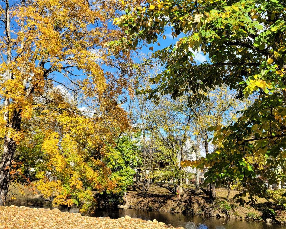 Skinny Dippin'-River Front- Free Tickets-Dog Friendly-Sleeps 6 Піджен-Фордж Екстер'єр фото